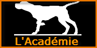 L'Académie du chien de chasse